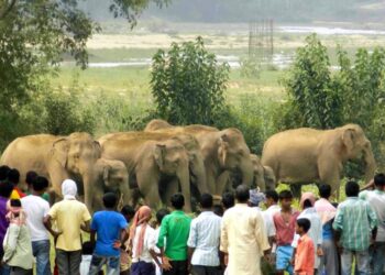 रांची के ईटकी प्रखंड में धारा-144 लागू, जानें वजह