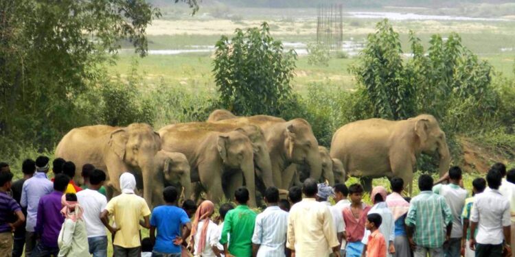 रांची के ईटकी प्रखंड में धारा-144 लागू, जानें वजह