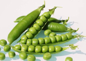 आपकी सेहत जुड़ी एक खबर:  क्या है यूरिक एसिड और मटर का कनेक्शन ?