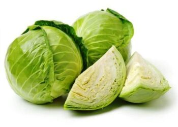 बड़ी फायदेमंद है पत्ता गोभी, लेकिन जरा संभलकर…