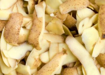 आलू छीलकर खाते हैं, तो एक नजर इस खबर पर…