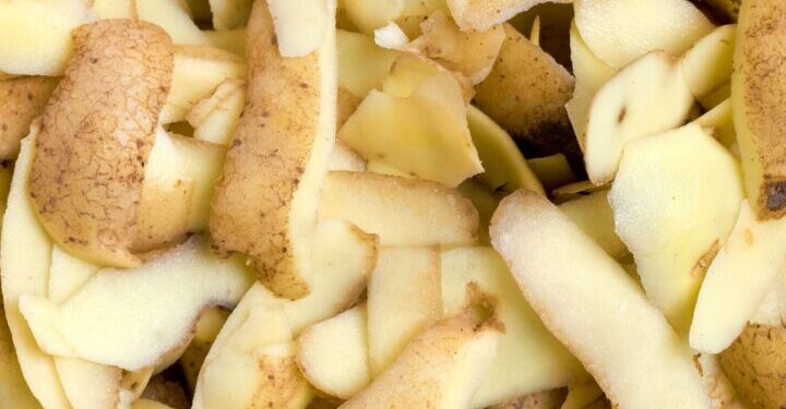 आलू छीलकर खाते हैं, तो एक नजर इस खबर पर…