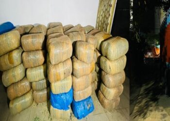 कस्टम विभाग की बड़ी कार्रवाई, एक हजार किलो गांजे के साथ दो लोगों को पकड़ा