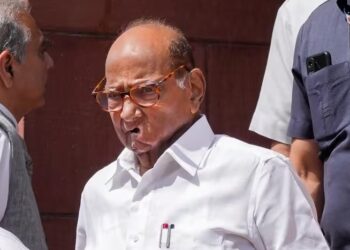 अडानी मामले में विपक्ष की जेपीसी जांच की मांग को शरद पवार ने ठहराया गलत, कहा- हम भी लगाते थे टाटा-बिड़ला पर आरोप