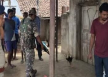 बुंडू : कारोबारी को अपराधियों ने गोली मारकर किया घायल, मेडिका में भर्ती