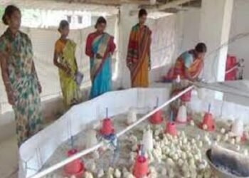 30 हजार से अधिक महिलाओं को मिला फूलो झानो आशीर्वाद अभियान का लाभ