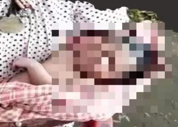 धनबाद में ममता शर्मसार, रेलवे अस्पताल के पास मिला लावारिस अवस्था में नवजात