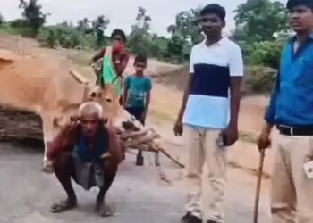 झाड़ी काट कर ले जा रहे बुजुर्ग को वनकर्मी ने कराया उठक बैठक, अब सीएम हेमंत ने दिया कार्रवाई का आदेश