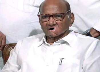 गठबंधन वाली पार्टी को बर्बाद कर देती है बीजेपी- शरद पवार