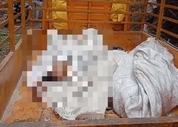 जमशेदपुर: टाटा स्टील के L2 चीफ विजय निराला ने मालगाड़ी से कट कर की आत्महत्या