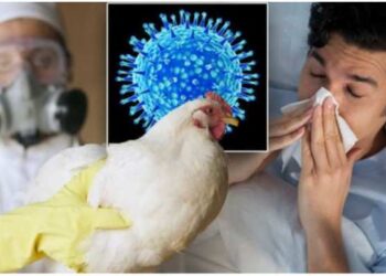 एवियन फ्लू