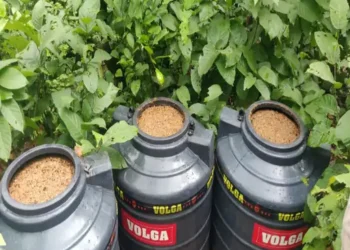 उत्पाद विभाग की बड़ी कारवाई, भारी मात्रा में विदेशी शराब बरामद