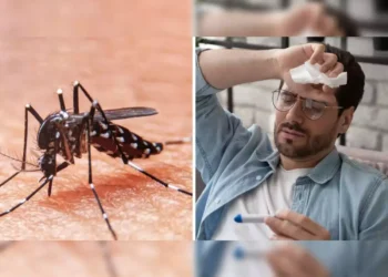 झारखंड में तेजी से बढ़ रहे डेंगू के मामले,  पूर्वी सिंहभूम और साहिबगंज में सबसे ज्यादा केस