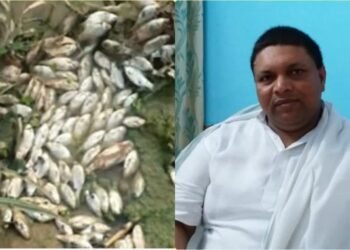 गेतलसुद डैम में मछलियों की मौत पर विभागीय मंत्री गंभीर, विभागीय सचिव को जांच के आदेश