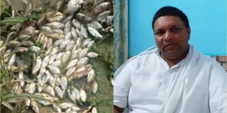 गेतलसुद डैम में मछलियों की मौत पर विभागीय मंत्री गंभीर, विभागीय सचिव को जांच के आदेश