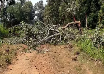 पश्चिम सिंहभूम : कोल्हान में चल रहा नक्सलियों के खिलाफ ऑपरेशन, भारी तादाद में पुलिस बल रवाना