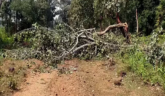 पश्चिम सिंहभूम : कोल्हान में चल रहा नक्सलियों के खिलाफ ऑपरेशन, भारी तादाद में पुलिस बल रवाना