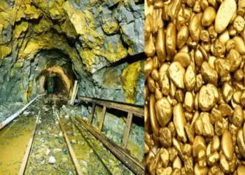 झारखंड के मिले दो नए स्वर्ण भंडार, GSI ने सरकार को सौंपी रिपोर्ट
