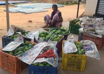 झारखंड में बिरसा हरित ग्राम योजना बदल रही है किसानों की जिंदगी, फलों का राजा घोल रहा है जीवन में मिठास