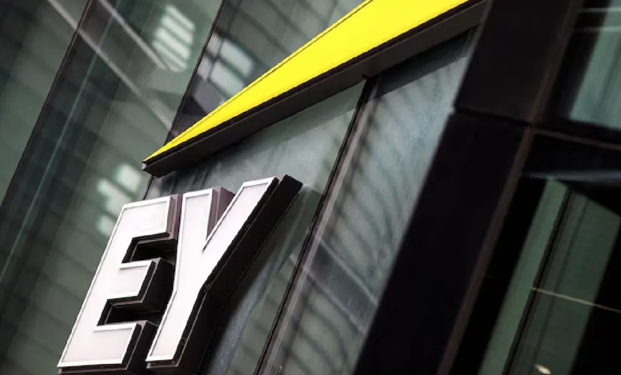 EY इंडिया में अन्ना सेबेस्टियन पेराइल की मृत्यु: क्या कार्य-जीवन संतुलन पर सवाल उठाने का समय आ गया है?