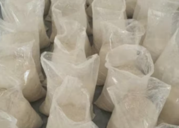 दिल्ली पुलिस ने 500 किलो कोकीन जब्त की, कीमत 2000 करोड़ रुपये से अधिक