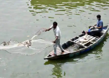 पाकुड़ में मछली व्यापारी की हत्या: पोखर के किनारे मिला शव