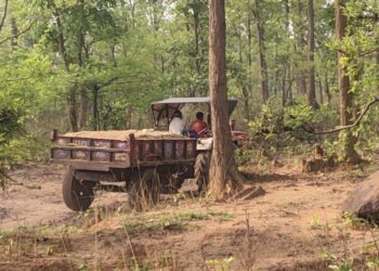 रामगढ़ में बालू माफिया का खुला खेल: लपंगा दामोदर घाट से रात-दिन 50-100 ट्रैक्टरों से अवैध ढुलाई, टास्क फोर्स बेकार!