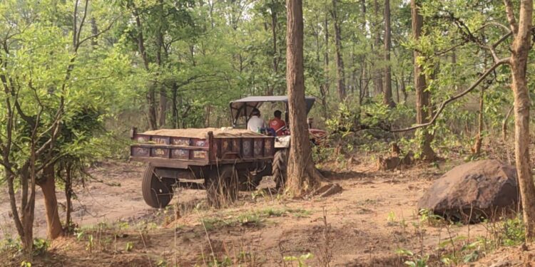 रामगढ़ में बालू माफिया का खुला खेल: लपंगा दामोदर घाट से रात-दिन 50-100 ट्रैक्टरों से अवैध ढुलाई, टास्क फोर्स बेकार!