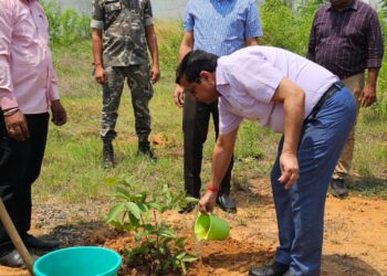 गढ़वा में विश्व पर्यावरण दिवस पर उपायुक्त और डीडीसी ने पौधारोपण कर जगाई जागरूकता!