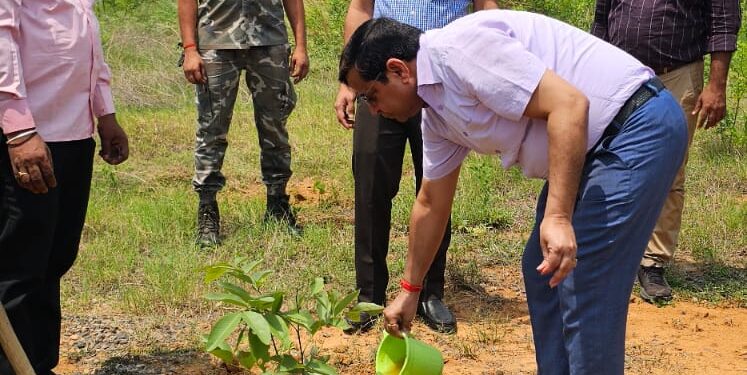 गढ़वा में विश्व पर्यावरण दिवस पर उपायुक्त और डीडीसी ने पौधारोपण कर जगाई जागरूकता!