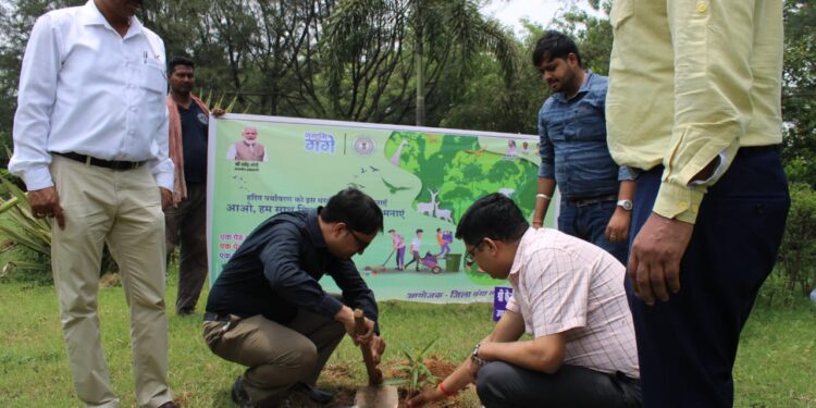 रामगढ़ में नमामि गंगे के तहत विश्व पर्यावरण दिवस पर वृक्षारोपण की धूम!