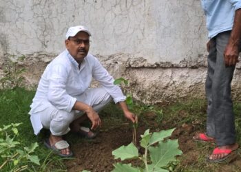 पलामू में हरियाली की पहल! डीआईजी नौशाद आलम का थानों को हरा-भरा और स्वच्छ बनाने का आह्वान!