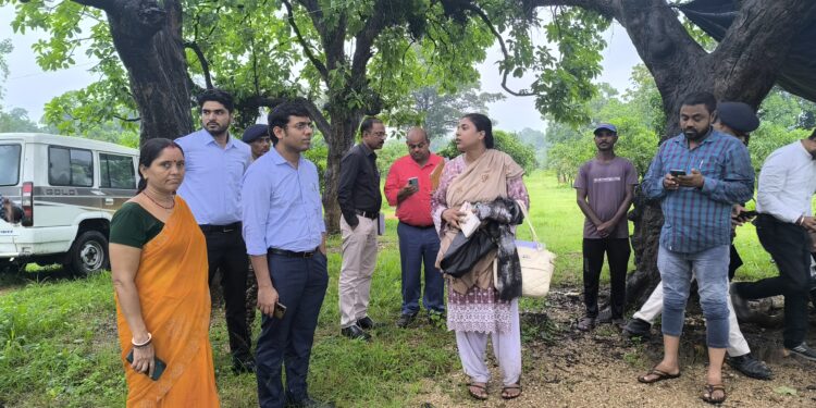 रामगढ़ में मनरेगा पार्क की नई पहल: उप विकास आयुक्त ने लिया जायजा, बागवानी को बढ़ावा!