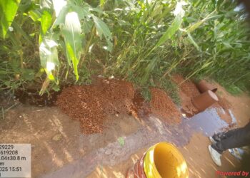 गढ़वा में अवैध शराब पर प्रहार: धुरकी-डंडई में 400 किलो जावा महुआ जब्त, 65 लीटर शराब नष्ट!