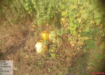 गढ़वा में अवैध शराब पर प्रहार: रामपुर में उत्पाद विभाग ने 200 किलो जावा महुआ और 45 लीटर शराब नष्ट, दो फरार!