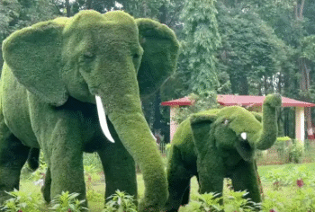 रांची के भगवान बिरसा जैविक उद्यान और विशाखापट्टनम के इंदिरा गांधी जैविक उद्यान के बीच वन्यजीव आदान-प्रदान: जैव विविधता संरक्षण में बड़ी सफलता