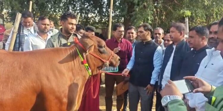 गढ़वा में गायों का मेगा मेला: DC ने खुद थमाई दुधारू गायें, बोले—“अब दूध से घर चलाओ, गरीबी भगाओ!”