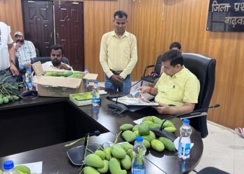 बागवानी से बढ़ेगी किसानों की ‘बरकत’: गढ़वा में बायर-सेलर मीट का बड़ा आयोजन, अब बिचौलिये नहीं—सीधे बाजार से जुड़ेंगे फल उत्पादक