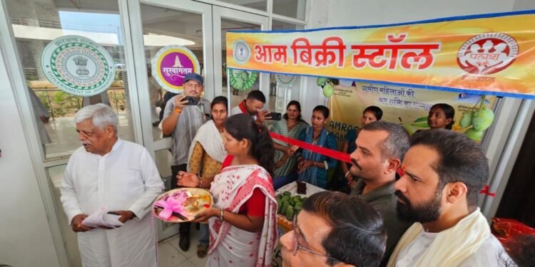 गढ़वा के सरकारी आमों का स्वाद चखेगी जनता, समाहरणालय परिसर में खुली ‘मैंगो कैनोपी’! सांसद, विधायक और DC ने मिलकर किया शुभारंभ; महिलाओं को मिलेगा बंपर मुनाफा